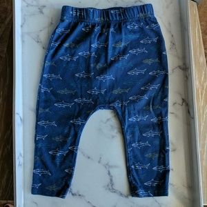 Baby Boy Blue Shark Joggers - 12-18mo